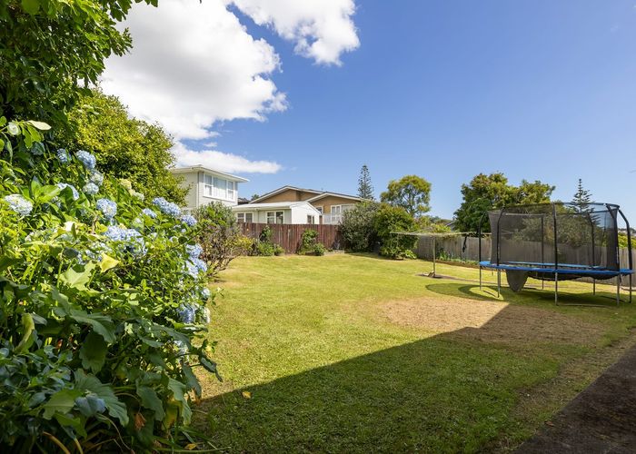  at 44 Anita Avenue, Mount Roskill, Auckland