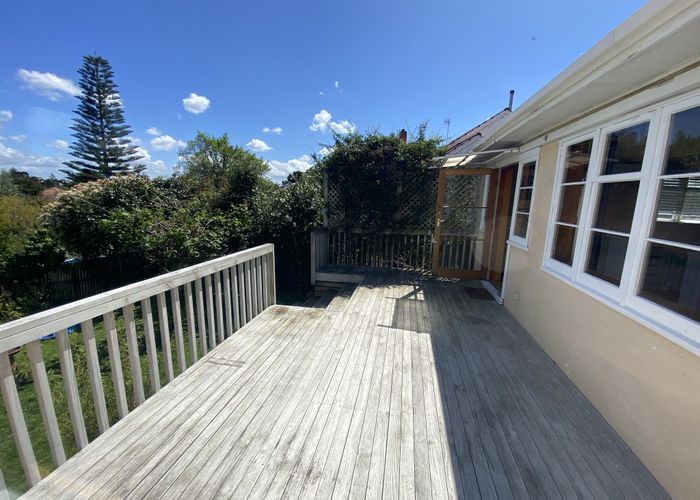 at 29 Bledisloe Terrace (Hayes Paddock), Hamilton East, Hamilton, Waikato