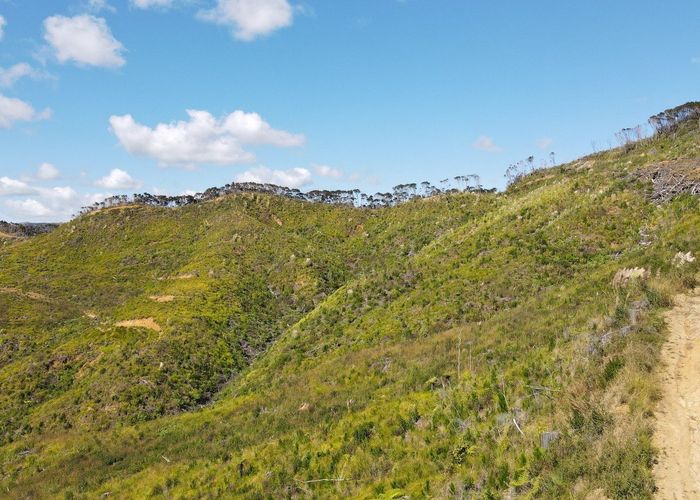  at 478 Port Charles Road, Coromandel, Thames-Coromandel, Waikato