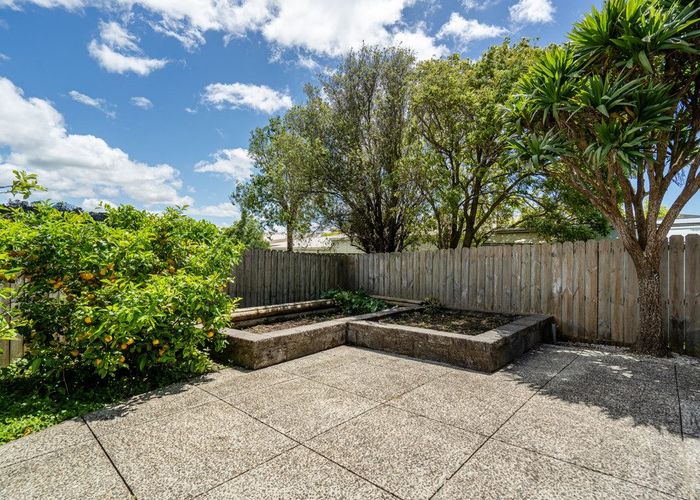 at 3/8 Crewe Close, Albany, Auckland