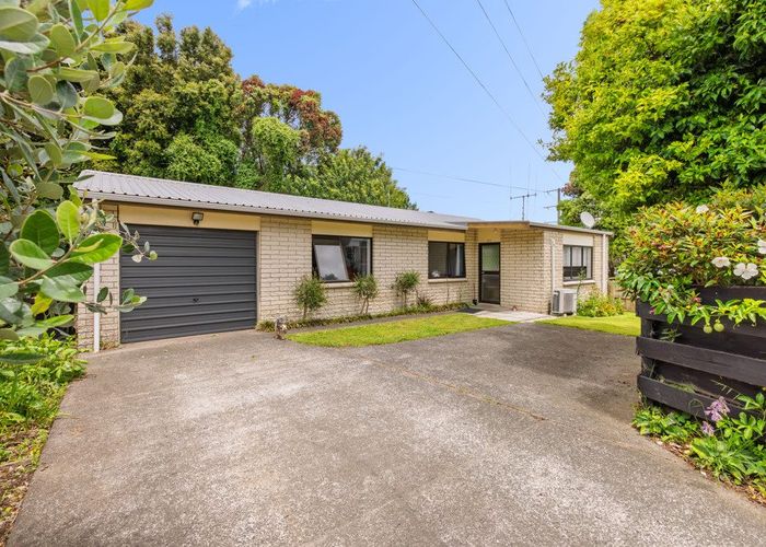  at 335 Maungatapu Road, Maungatapu, Tauranga