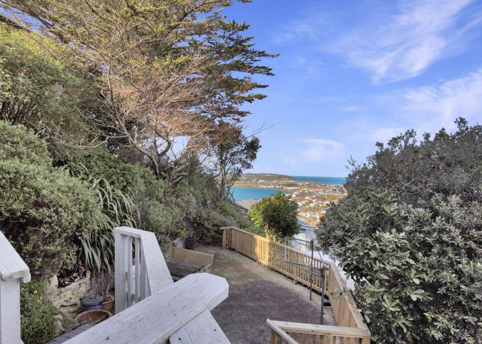  at 3/16 Marewa Road, Hataitai, Wellington, Wellington
