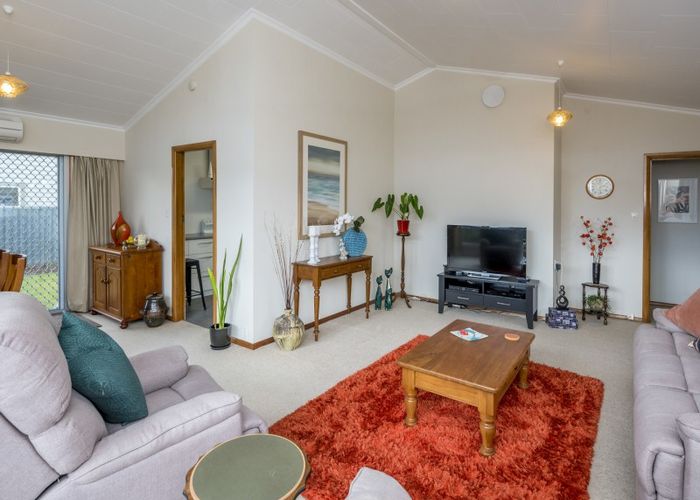  at 17 Burn Street, Levin, Levin