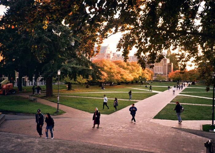  at Lincoln, Selwyn, Canterbury