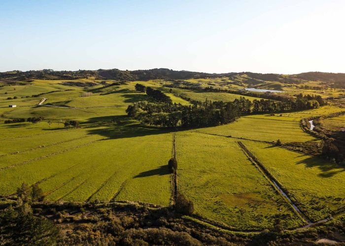  at 10 Wallbank Way, Mangawhai, Kaipara, Northland