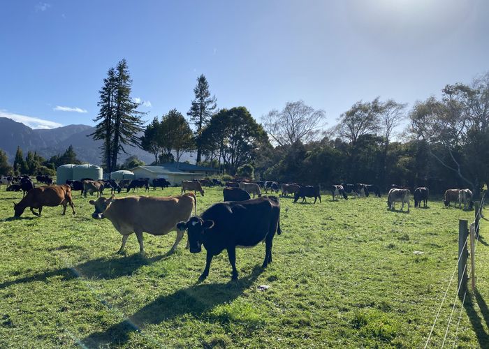  at Lot 1 & 2 55 Solly Road, Rockville, Golden Bay, Tasman, Nelson / Tasman
