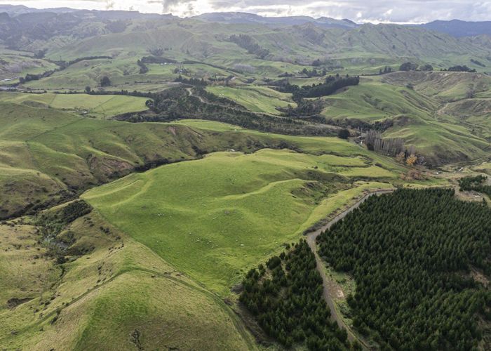  at 828 Matahorua Road, Putorino, Hastings, Hawke's Bay
