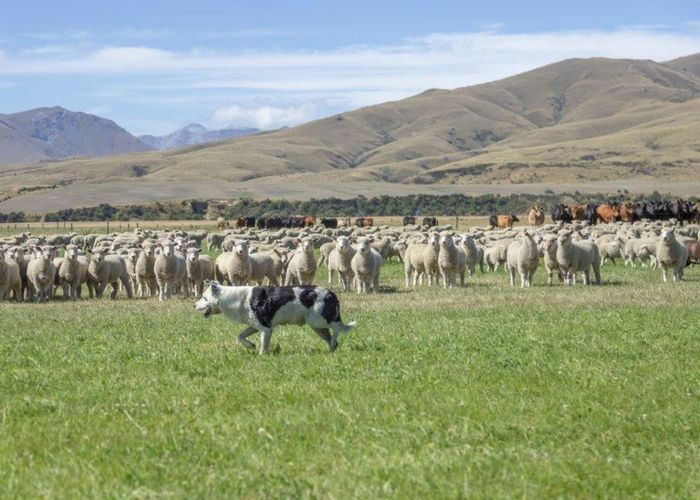  at 46 McCready Road, Kyeburn, Central Otago, Otago