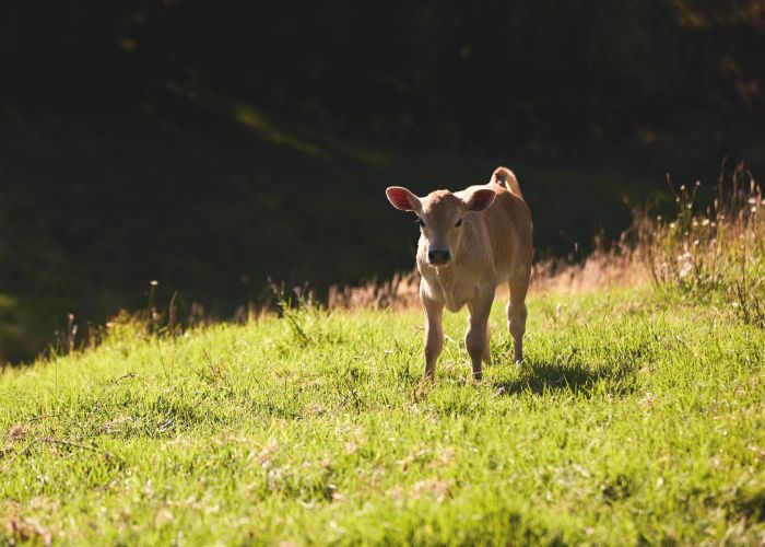  at 180C CRAWFORD Road , Tauranga
