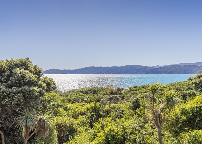  at 29 Boardwalk Lane, Seatoun, Wellington, Wellington