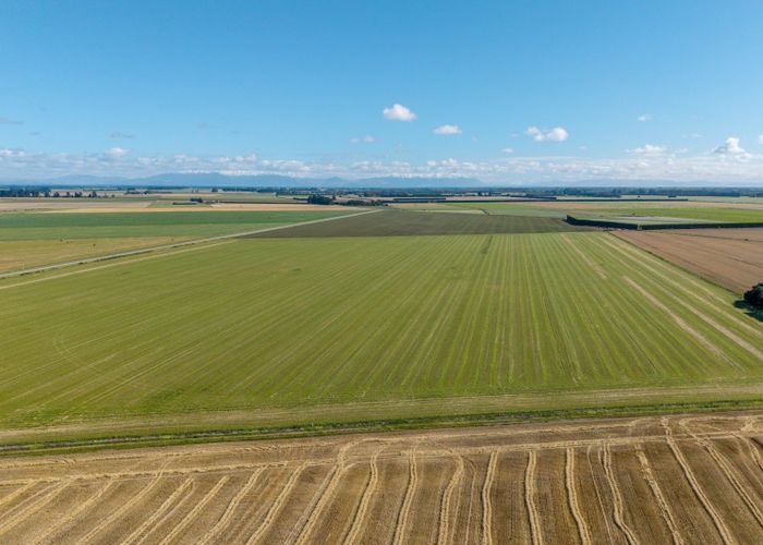  at 197 Tinwald Westerfield Mayfield Road, Tinwald, Ashburton, Canterbury