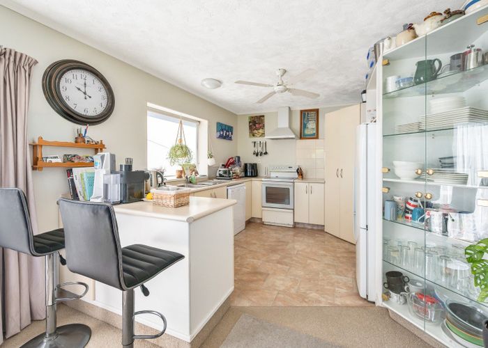  at 117 Auckland Road, Greenmeadows, Napier, Hawke's Bay