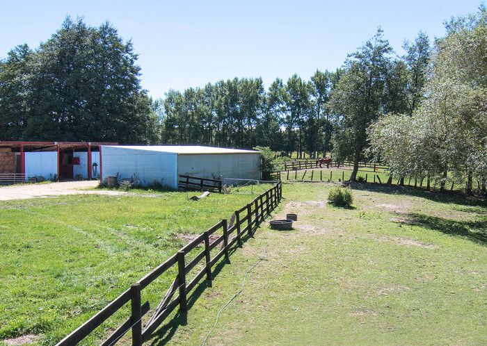  at 368 Belvedere Road, Carrington, Carterton