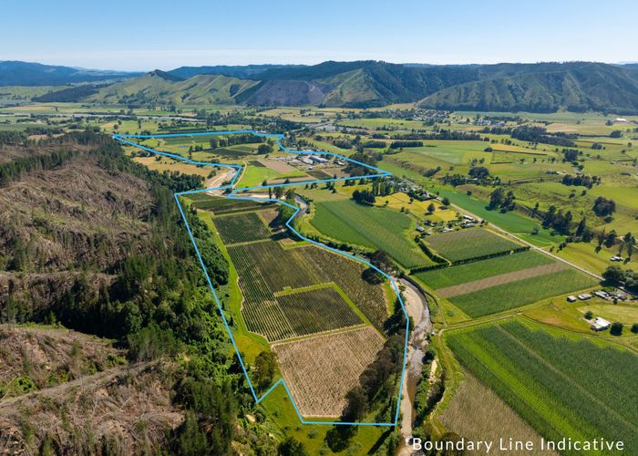  at 160 Tadmor Valley Road, Tapawera, Tasman, Nelson / Tasman
