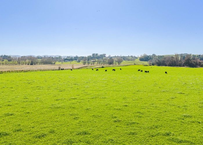  at 295 Tapairu Road, Waipawa, Central Hawke's Bay, Hawke's Bay