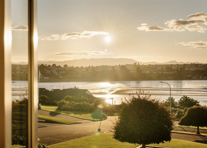  at 75 Fifth Avenue, Avenues, Tauranga, Bay Of Plenty