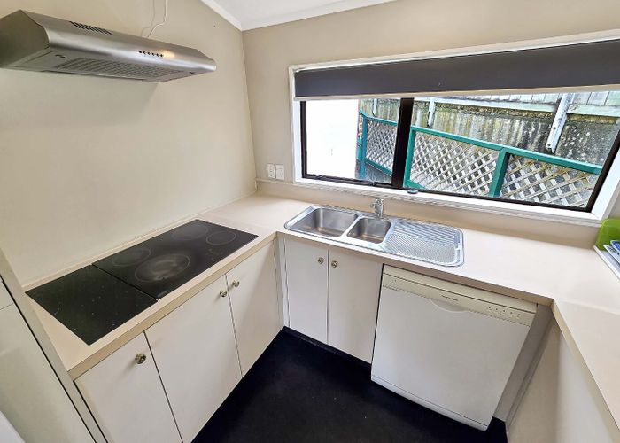  at 53A Hankey Street, Mount Cook, Wellington, Wellington