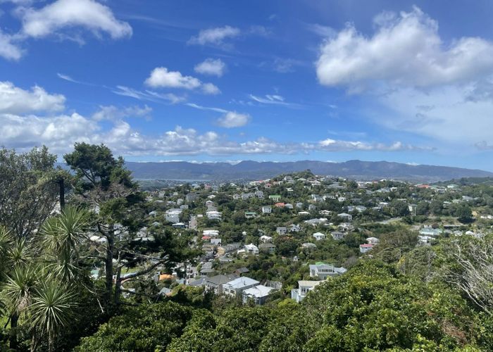  at 135 Mitchell Street, Brooklyn, Wellington, Wellington