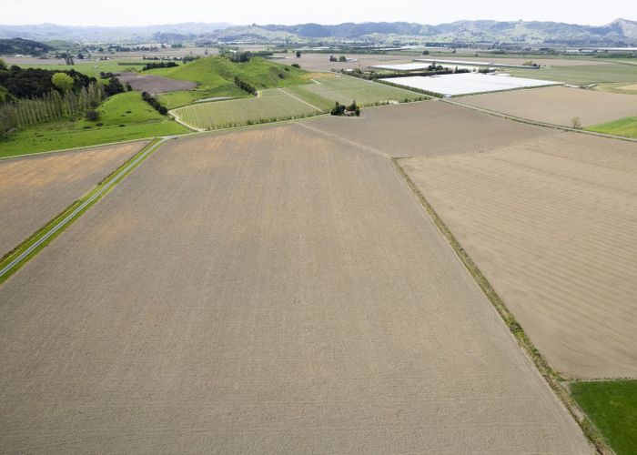  at 23 Mcfarlane Road, Patutahi, Gisborne, Gisborne