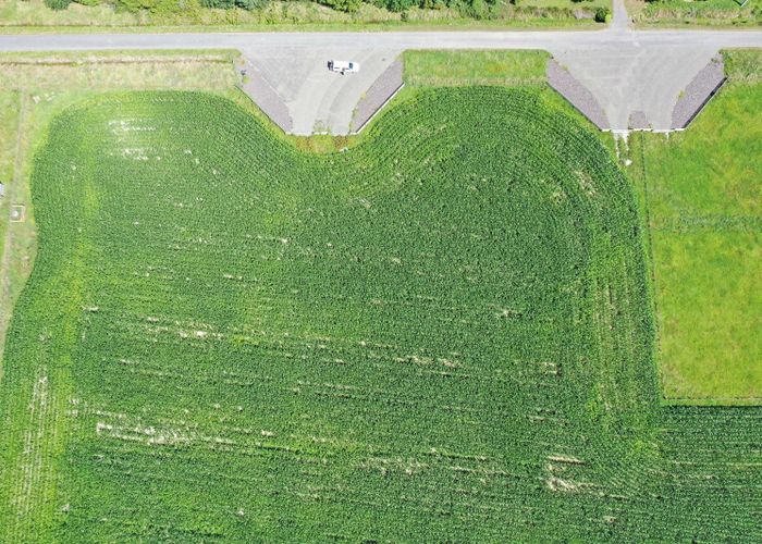  at Lot 4, 297 Oparatai Road, Pahiatua, Tararua, Manawatu / Whanganui