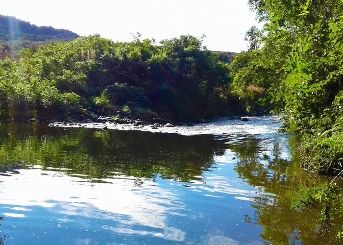  at 1216 Wekaweka Rd, Waimamaku, Far North, Northland