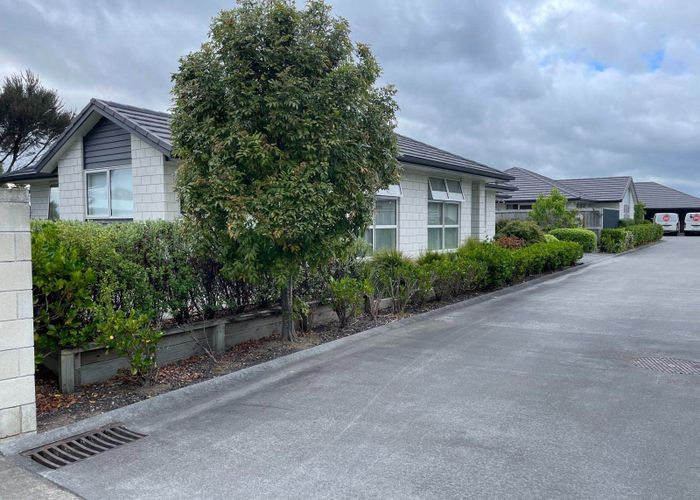  at 1 Calla Way, Matua, Tauranga, Bay Of Plenty