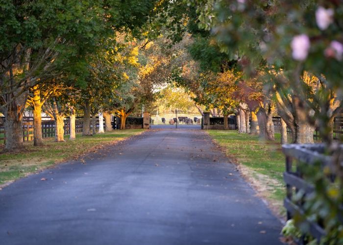  at 105 Marshmeadow Road, Newstead, Hamilton