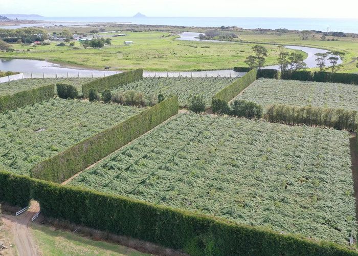  at 170 State Highway 35, Tirohanga, Opotiki, Bay Of Plenty