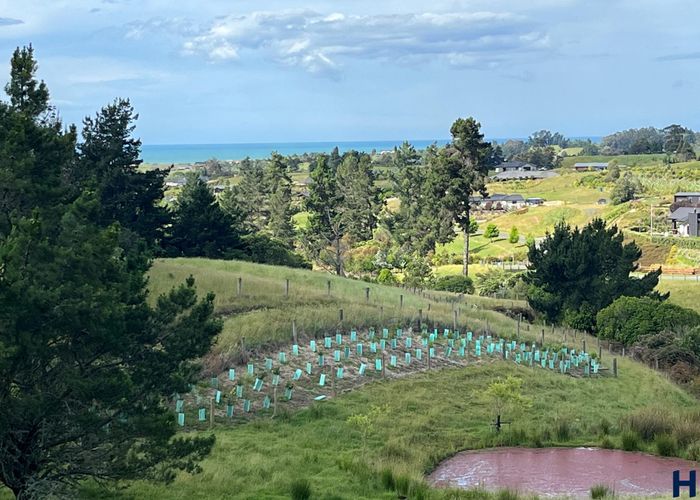  at 64 Westmere Drive, Tasman, Upper Moutere