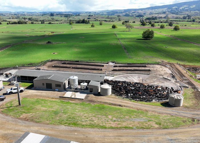  at 229 Candy Road, Te Awamutu, Waipa, Waikato