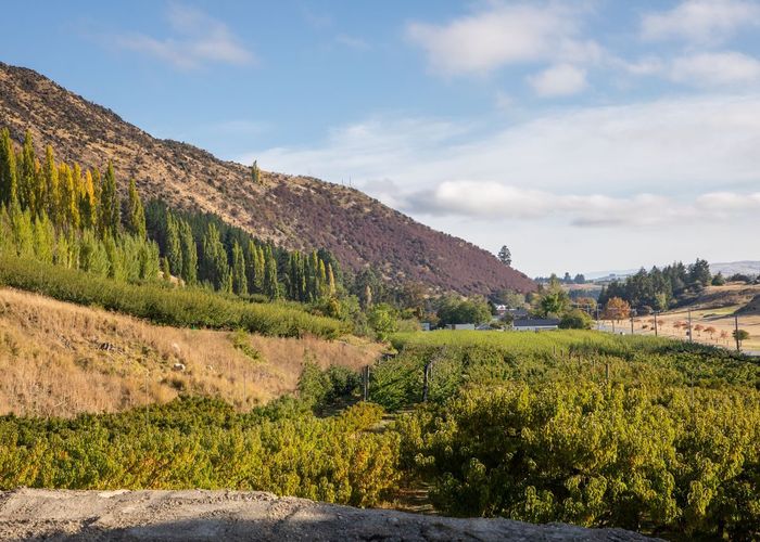  at 231 Scotland Street, Roxburgh, Central Otago, Otago