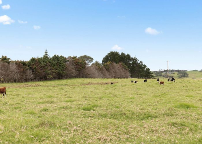  at 3031 Awhitu Road, Awhitu, Franklin, Auckland