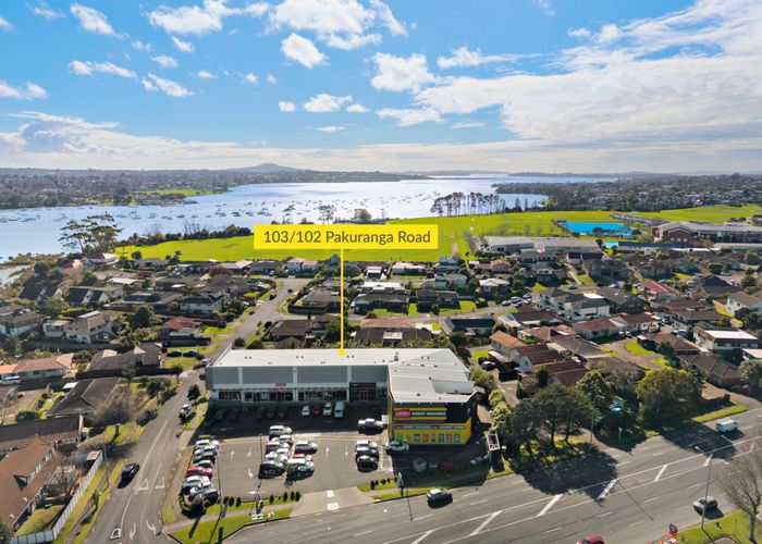  at 103/102 Pakuranga Road, Pakuranga, Manukau City, Auckland