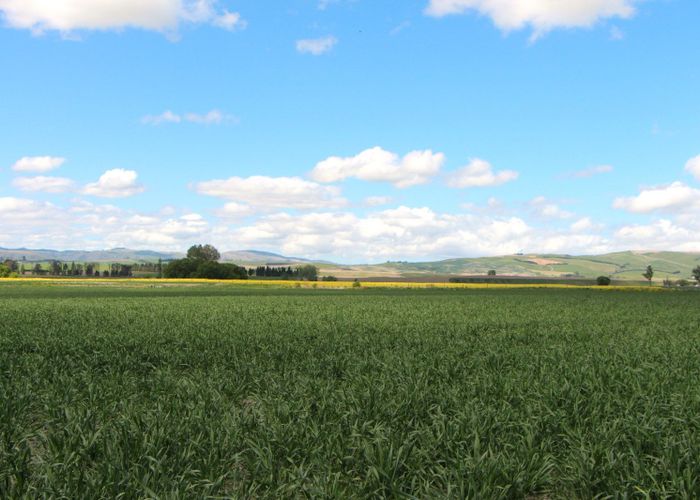  at Clayton Road, Fairlie, Mackenzie, Canterbury