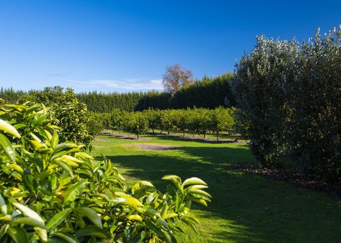  at 139 Bushmere Road, Gisborne