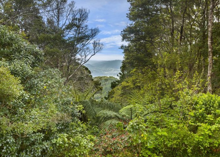  at 88 Avro Road, Blue Mountains, Upper Hutt