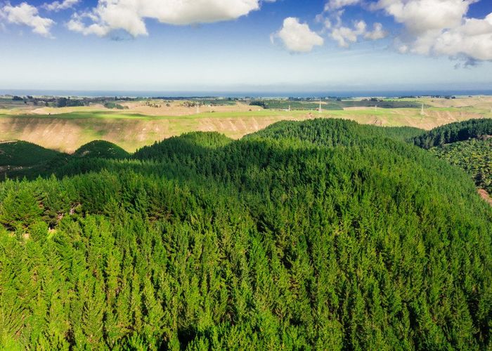  at Glencroft Forests 1, 2 & 3, Brunswick, Whanganui, Manawatu / Whanganui