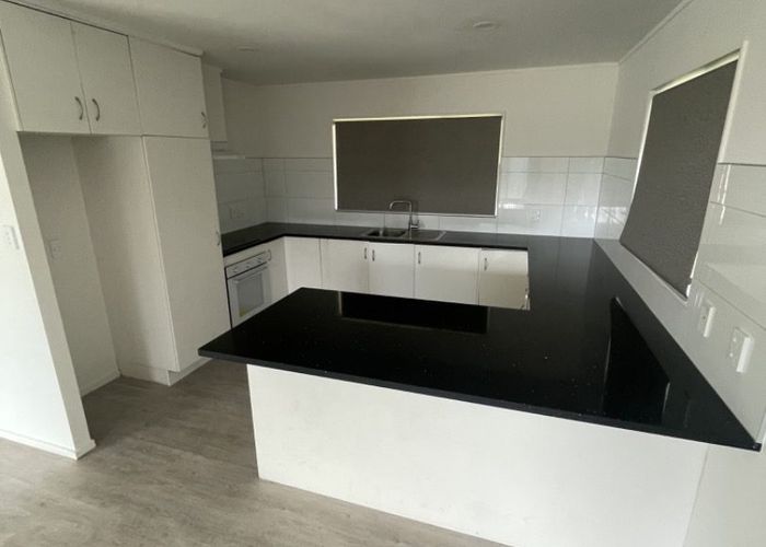  at 42 Michael Jones Drive, Flat Bush, Manukau City, Auckland