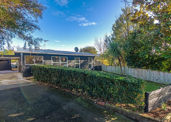  at 17 Wyndham Street, Awapuni, Palmerston North