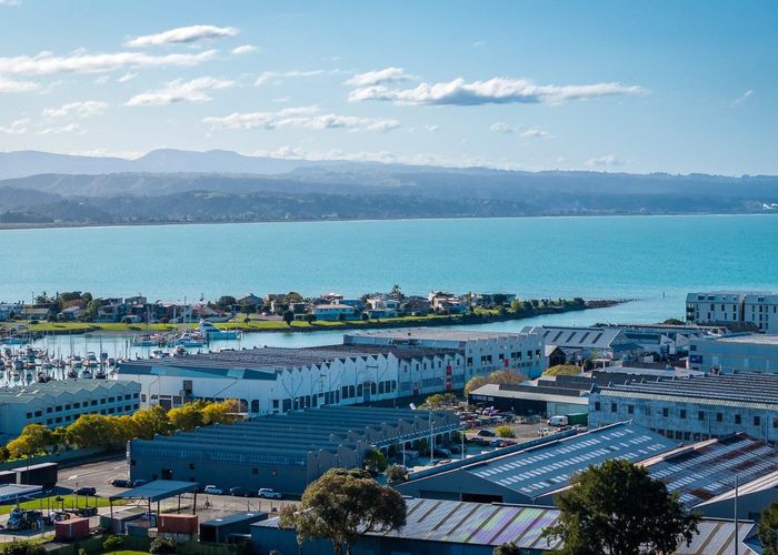  at 1/24 Hospital Terrace, Hospital Hill, Napier