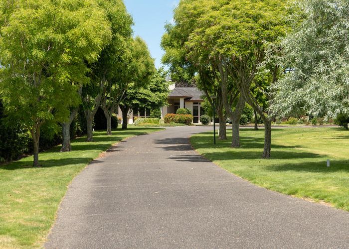  at 115 Freeburn Road, Pyes Pa, Tauranga