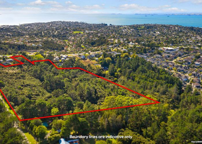  at 9 Lonely Track Road, Fairview Heights, Auckland