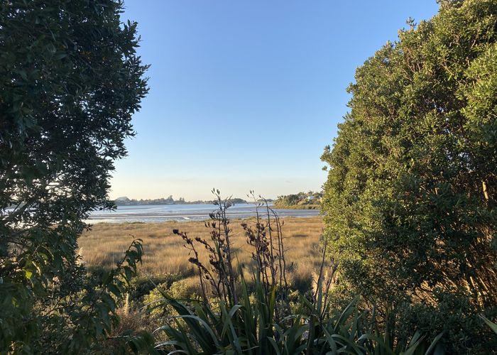  at 31 Tangaroa Place, Poike, Tauranga, Bay Of Plenty