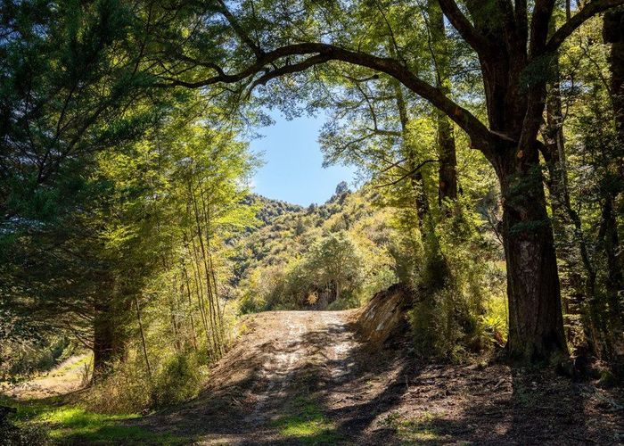  at 288 Matiri Valley Road, Matiri