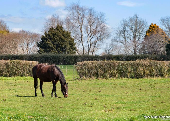  at 20 Village Way, Ardmore, Papakura