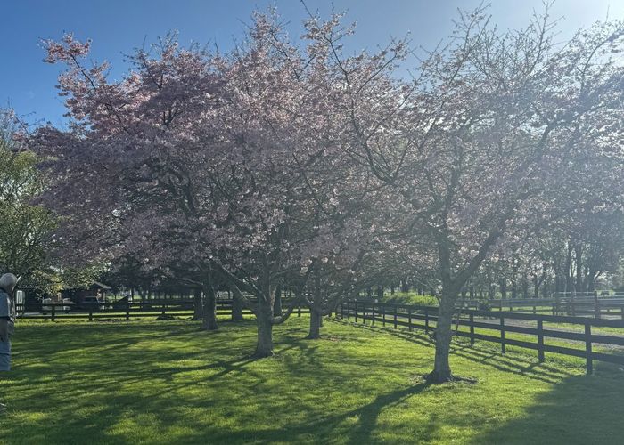  at 921 Gordonton Road, Gordonton, Waikato, Waikato