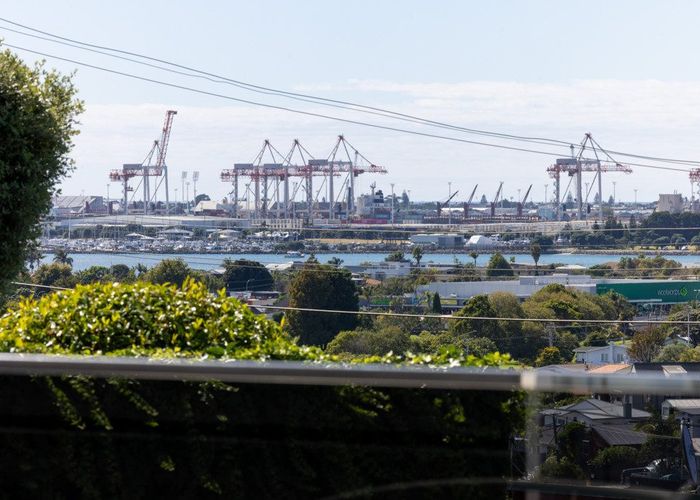  at 65 Hinewa Road, Otumoetai, Tauranga, Bay Of Plenty