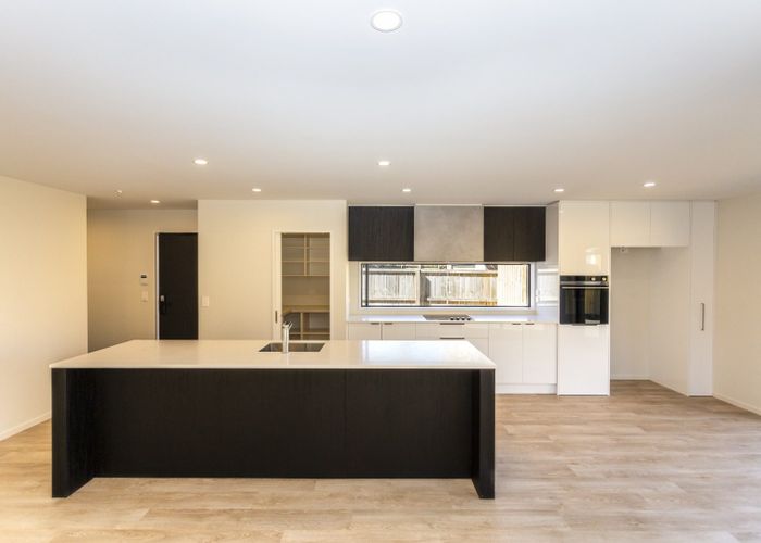 at 41a Albany Street, St. Albans, Christchurch City, Canterbury