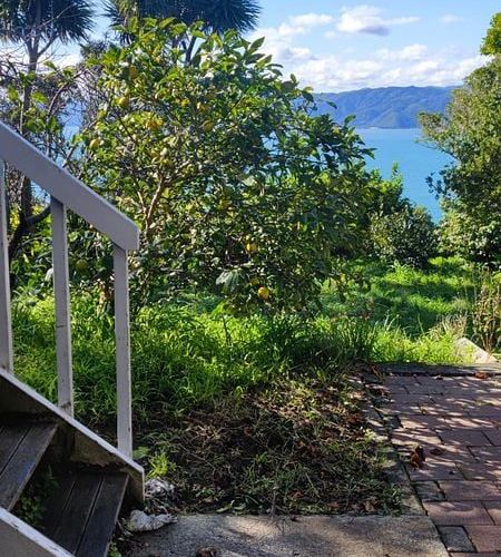  at 9 Tai Paku Paku Road, Karaka Bays, Wellington, Wellington