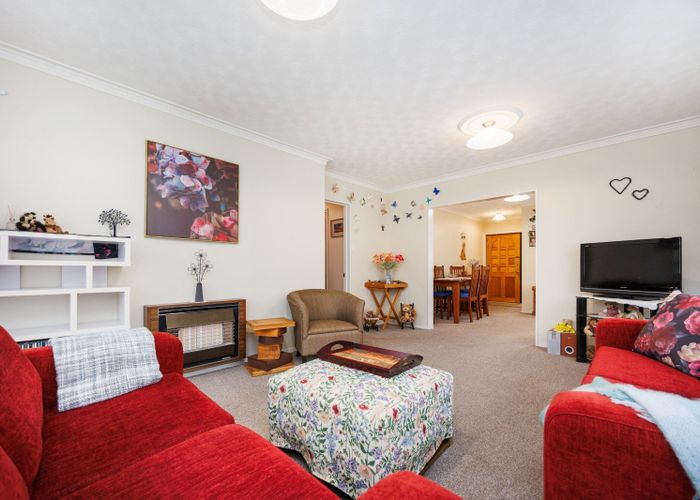  at 15 Mcarthur Street, Terrace End, Palmerston North, Manawatu / Whanganui
